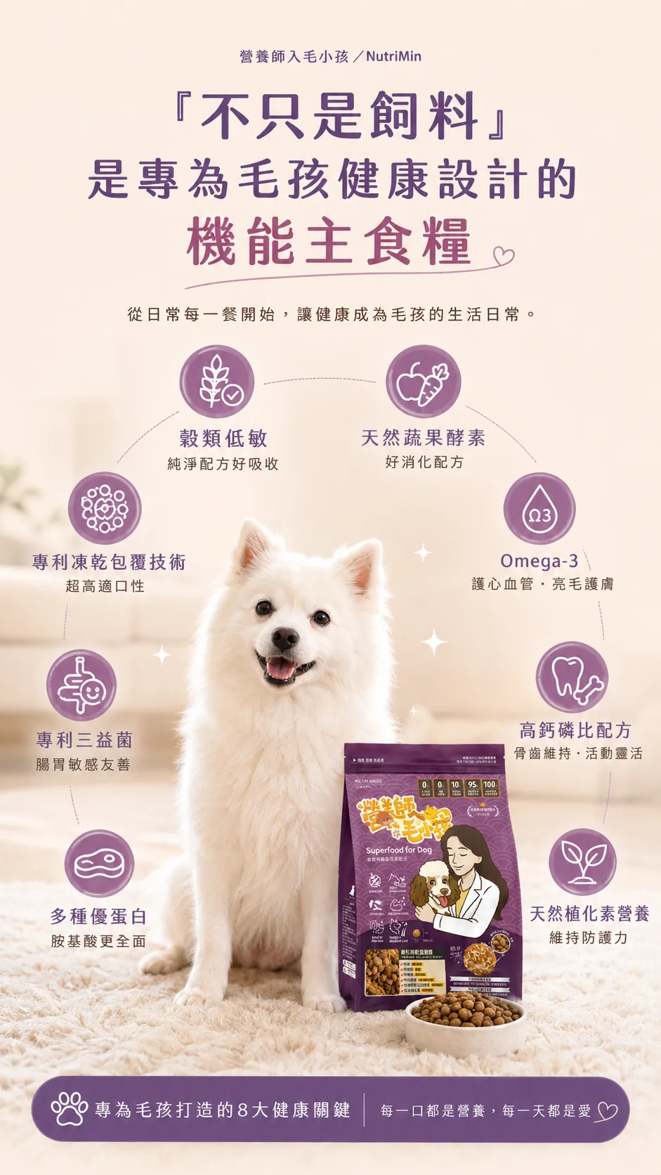 一般寵物糧與凍乾益菌糧：益生菌、肉源、添加物、消化配方、適口性差異比較