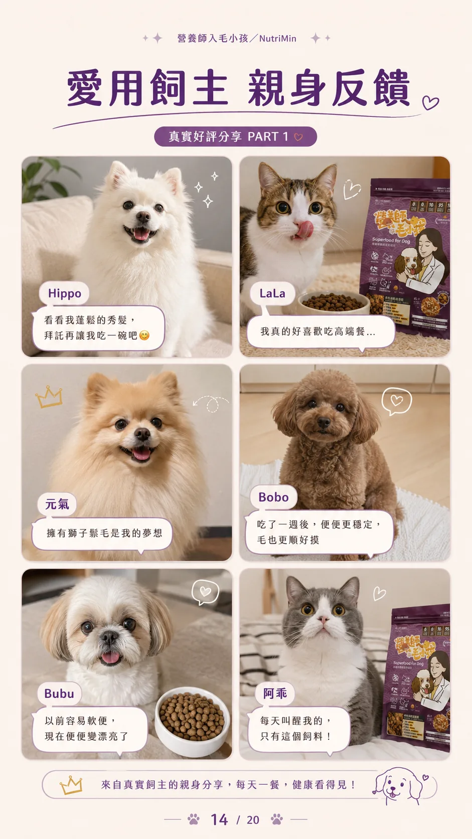 營養師現場分享：凍乾包覆、專利益生菌、全齡犬適用