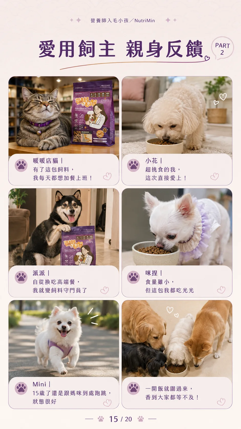 飼主喜歡的小變化：願意主動吃完、便便更穩、皮毛更順
